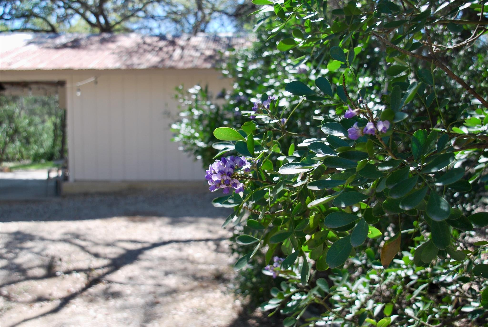 625 Mountain Laurel DR, New Braunfels, TX 78132