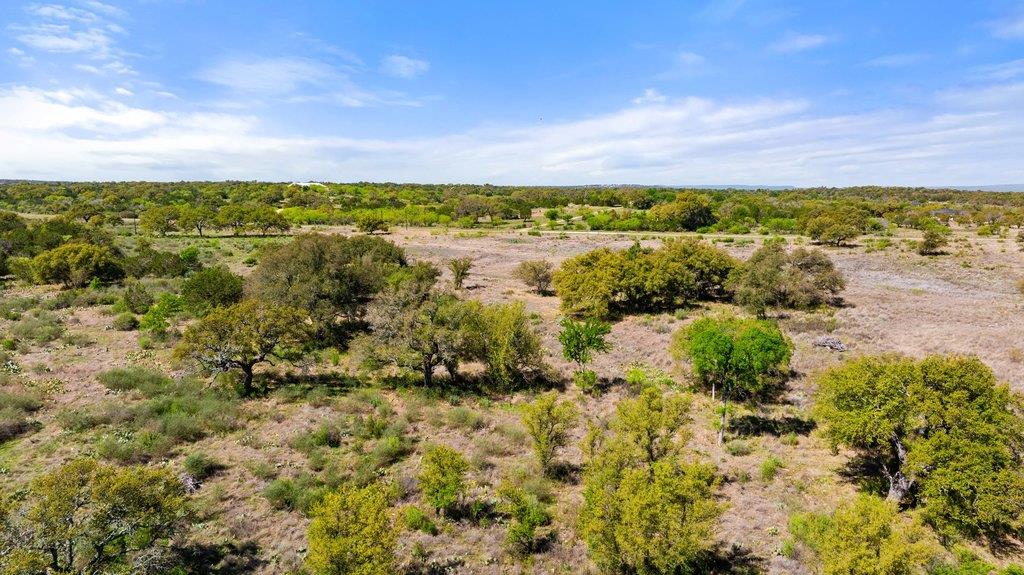 9580 Smith West Ranch RD, Round Mountain, TX 78663