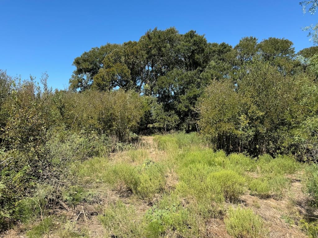 10.15 AC Fm 2409 RD, Temple, TX 76504
