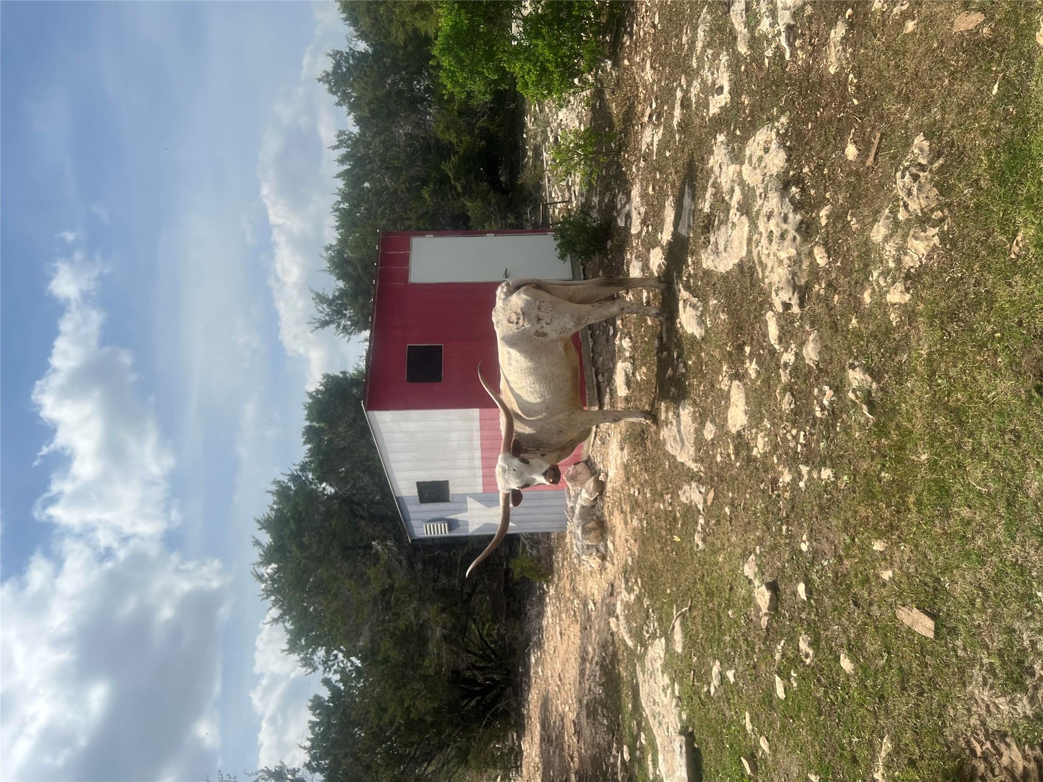 701 Grande ST #B, Driftwood, TX 78619