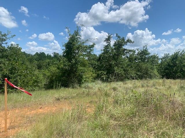 107 - 113 Mccarthy DR, Bastrop, TX 78602