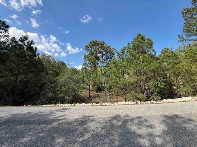 Lot 1198 Wahane LN, Bastrop, TX 78602