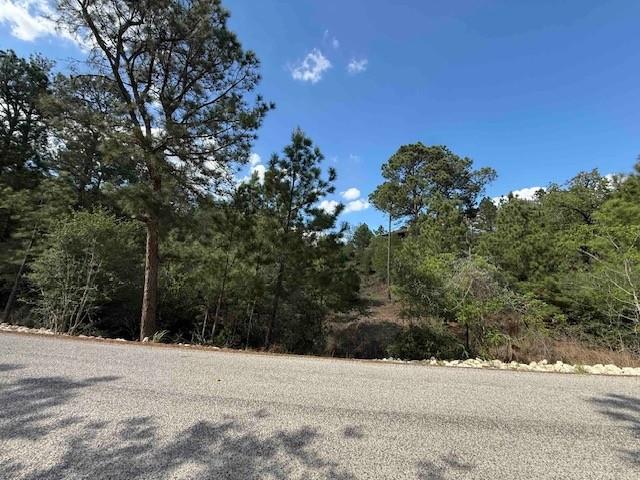 Lot 1198 Wahane LN, Bastrop, TX 78602