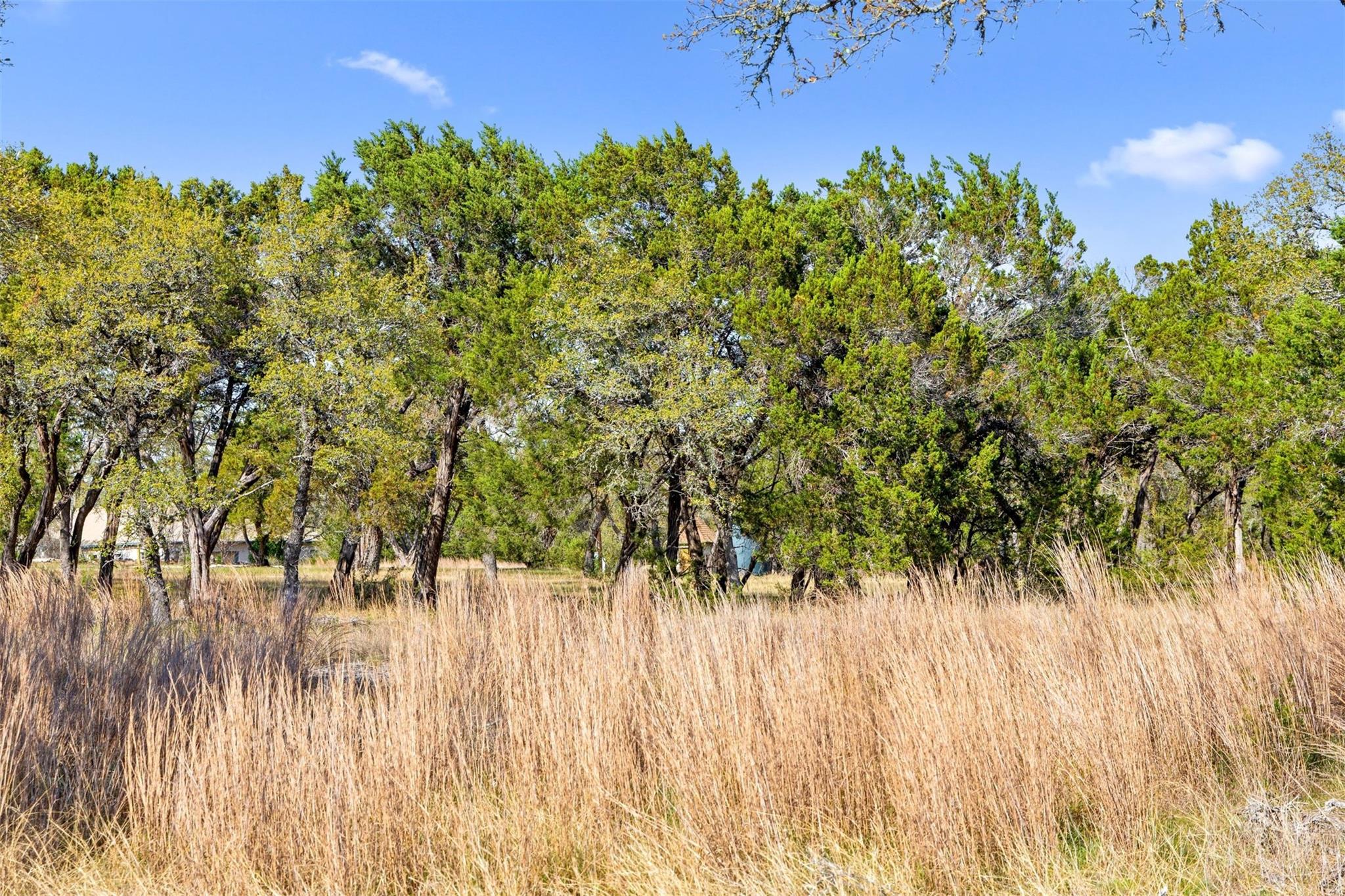 12130 Fitzhugh PL, Dripping Springs, TX 78620