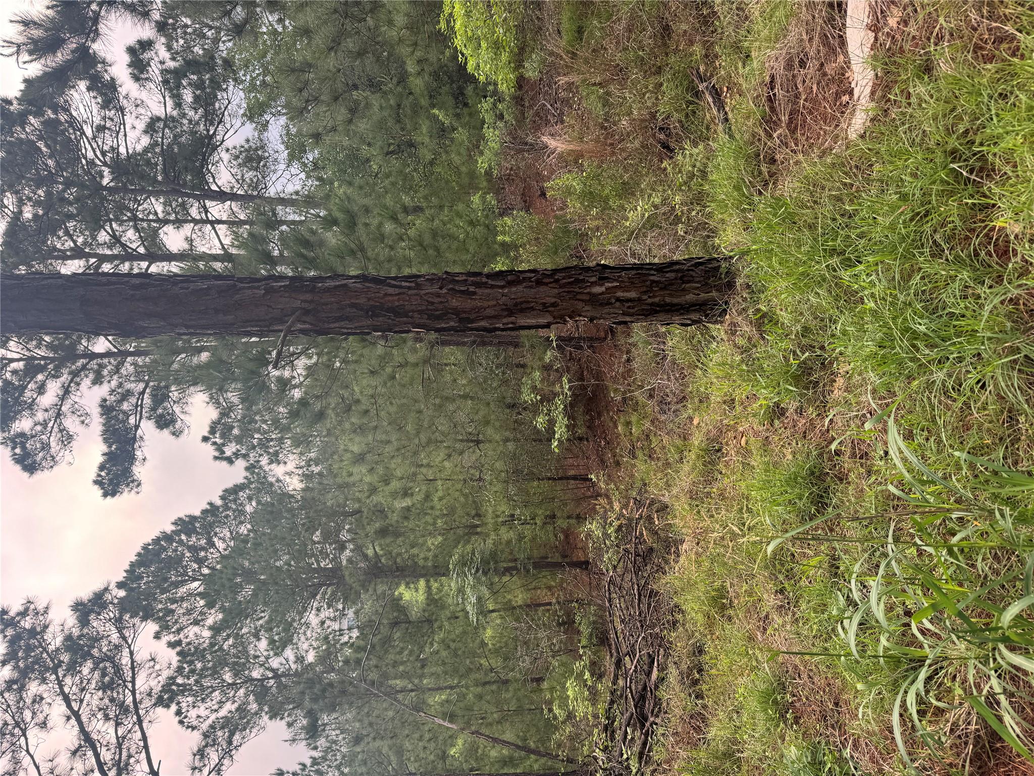 Lot 1490 Haleakala, Bastrop, TX 78602