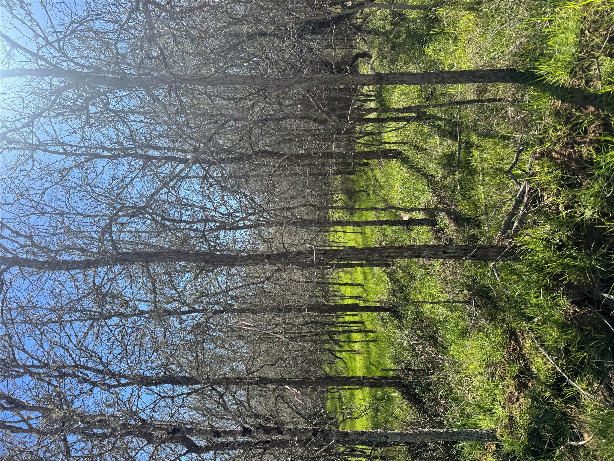 291 Kolekole LN, Bastrop, TX 78602