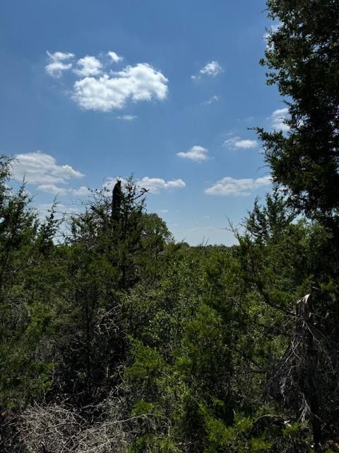 157 Lamaloa LN, Bastrop, TX 78602