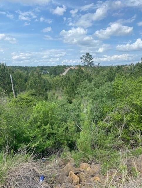 Lot 4 Kainalu LN, Bastrop, TX 78602