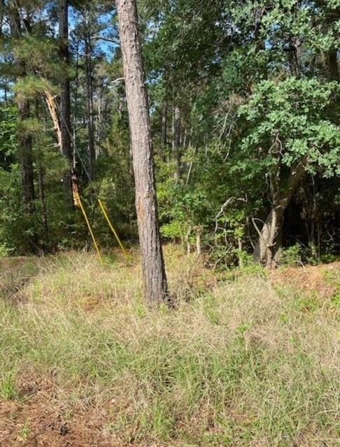 Lot 93 Papawai DR, Bastrop, TX 78602