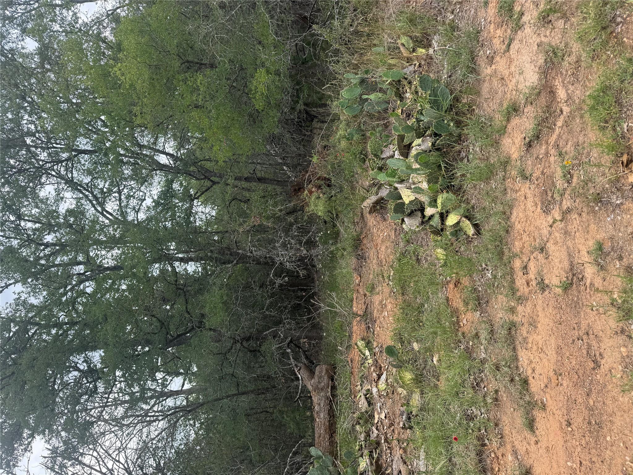 108 Howi LN, Bastrop, TX 78602