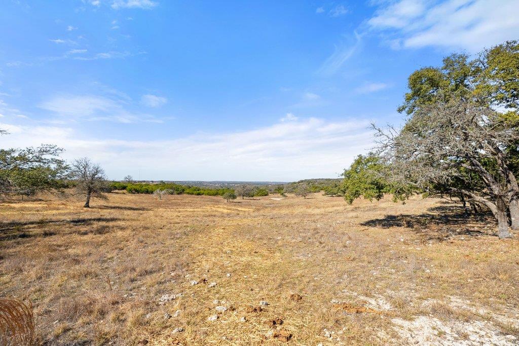 529 Skyline DR, Blanco, TX 78606