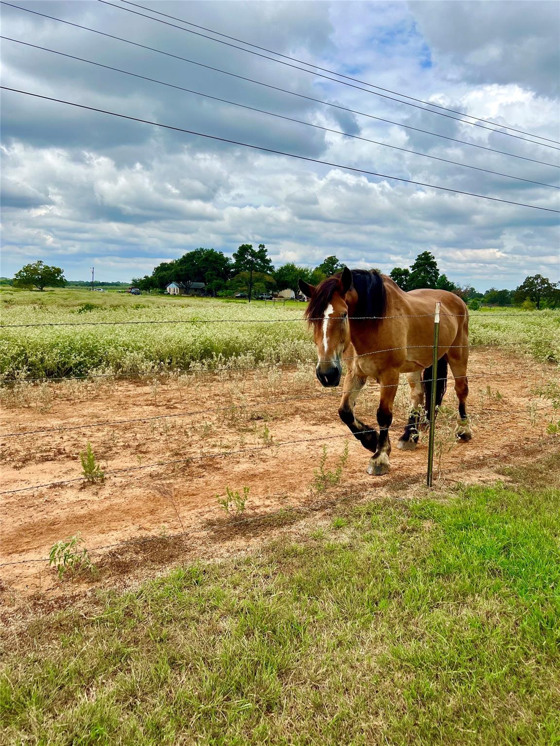 1286 County Road 446, Rockdale, TX 76567