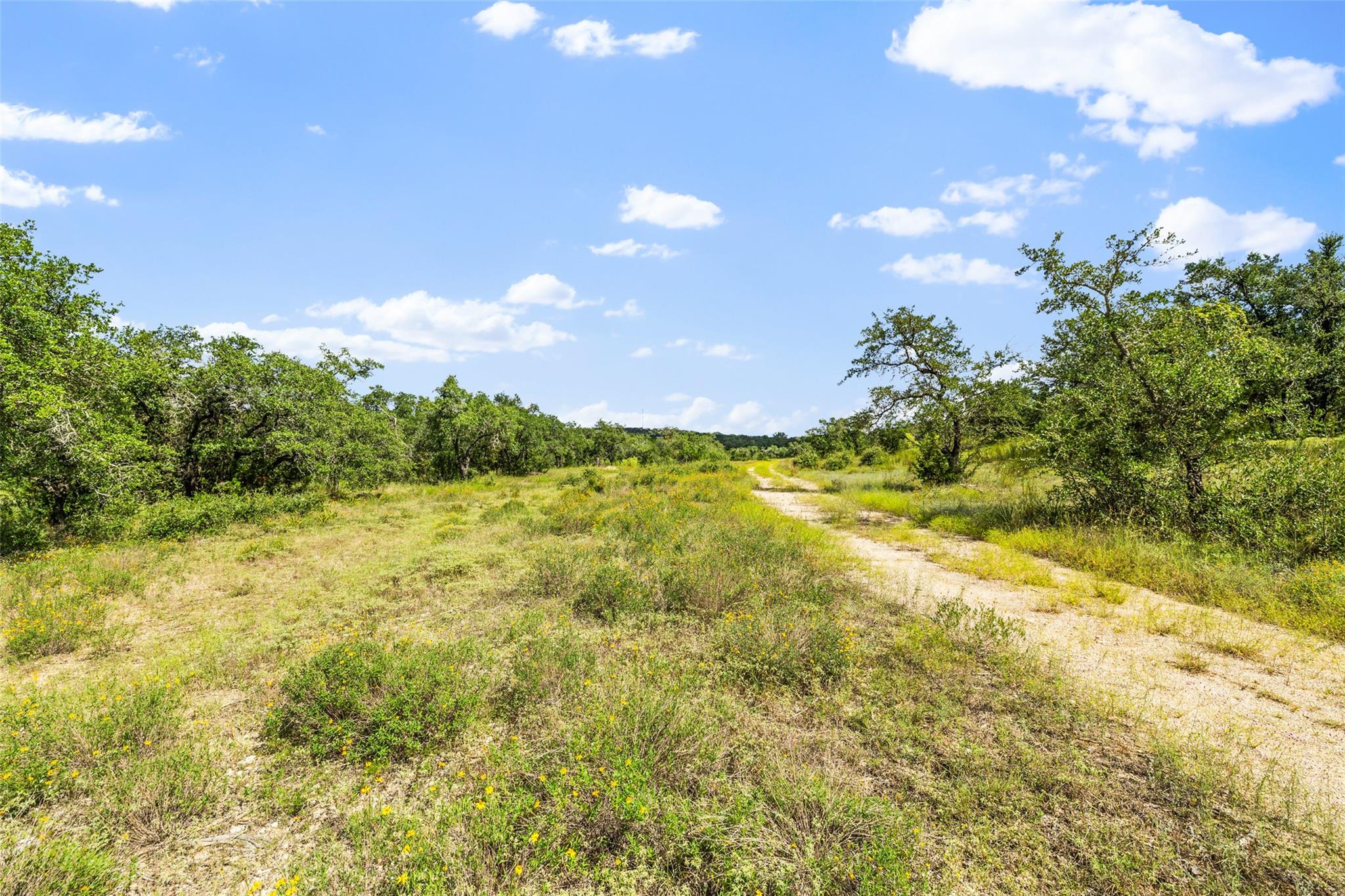 3817 Hart Hollow DR, Spicewood, TX 78669