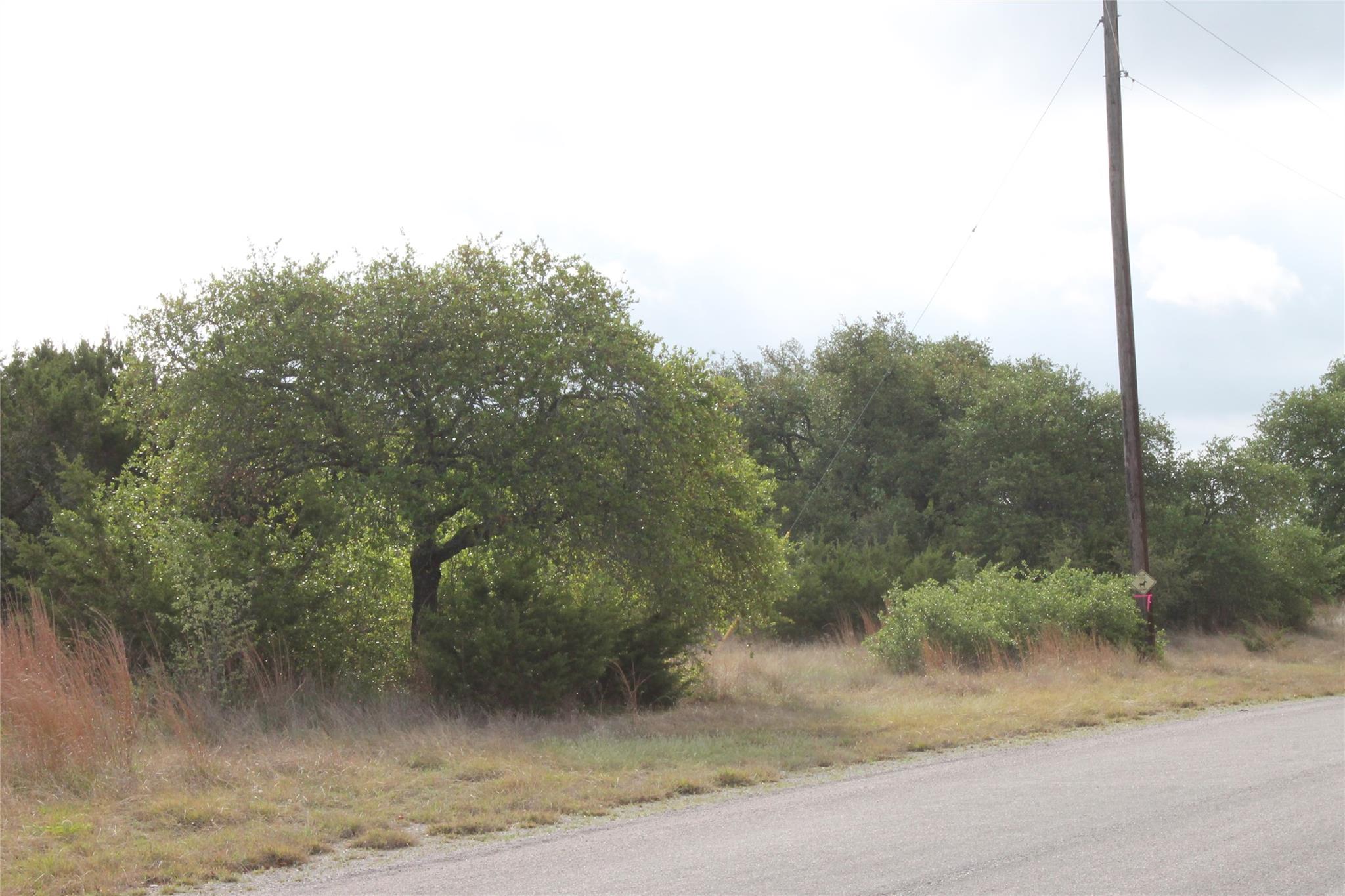 lot 1 Saddle Ridge DR, Bertram, TX 78605