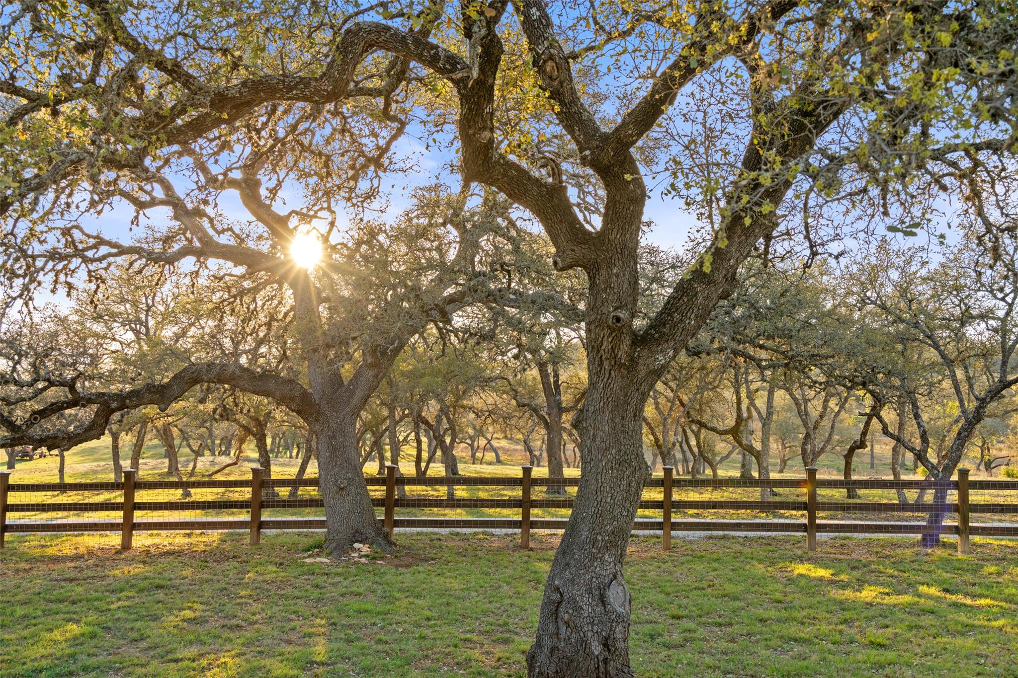 4827 Maenius RD, Blanco, TX 78606