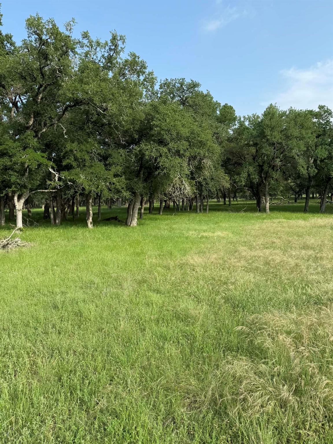 2251 County Road 234 LN, Georgetown, TX 78633