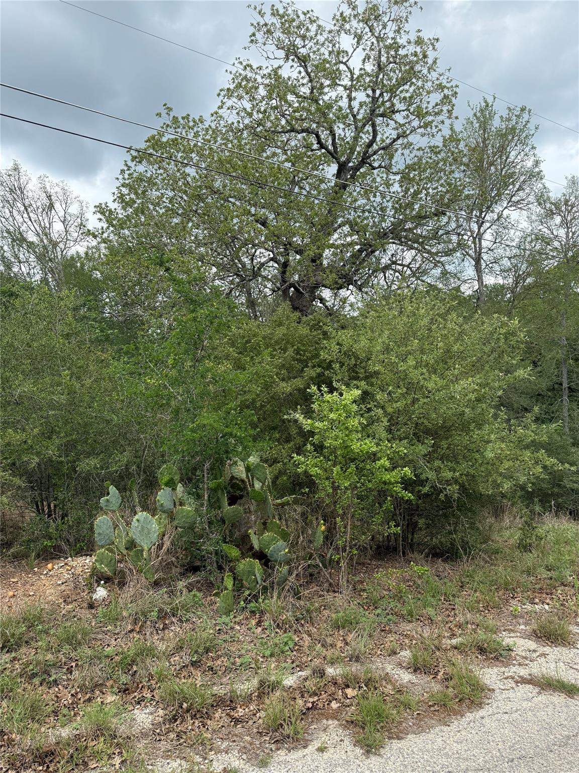 lot 70 Kaelepulu DR, Bastrop, TX 78602
