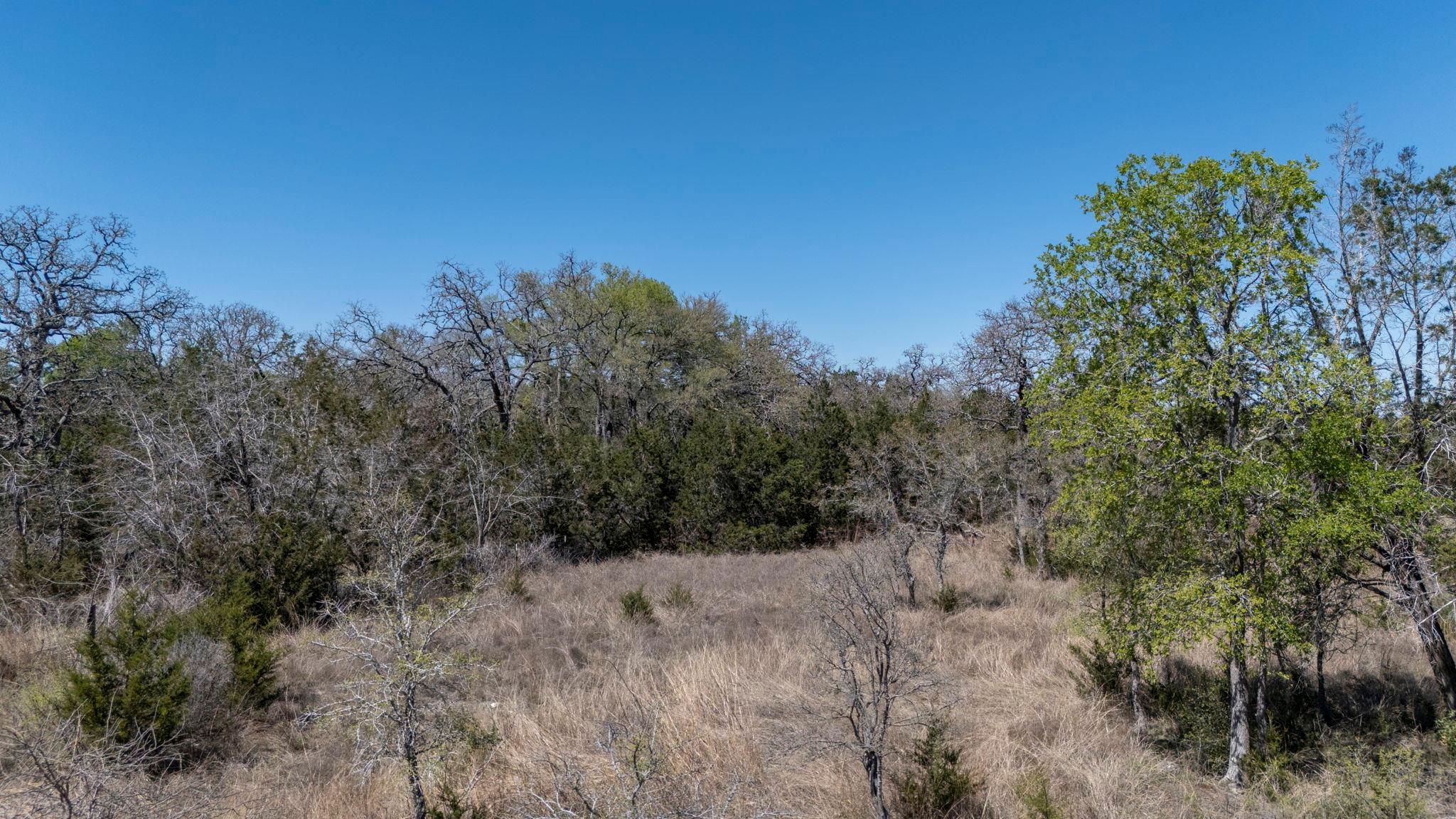 453 Nameless RD, Driftwood, TX 78619