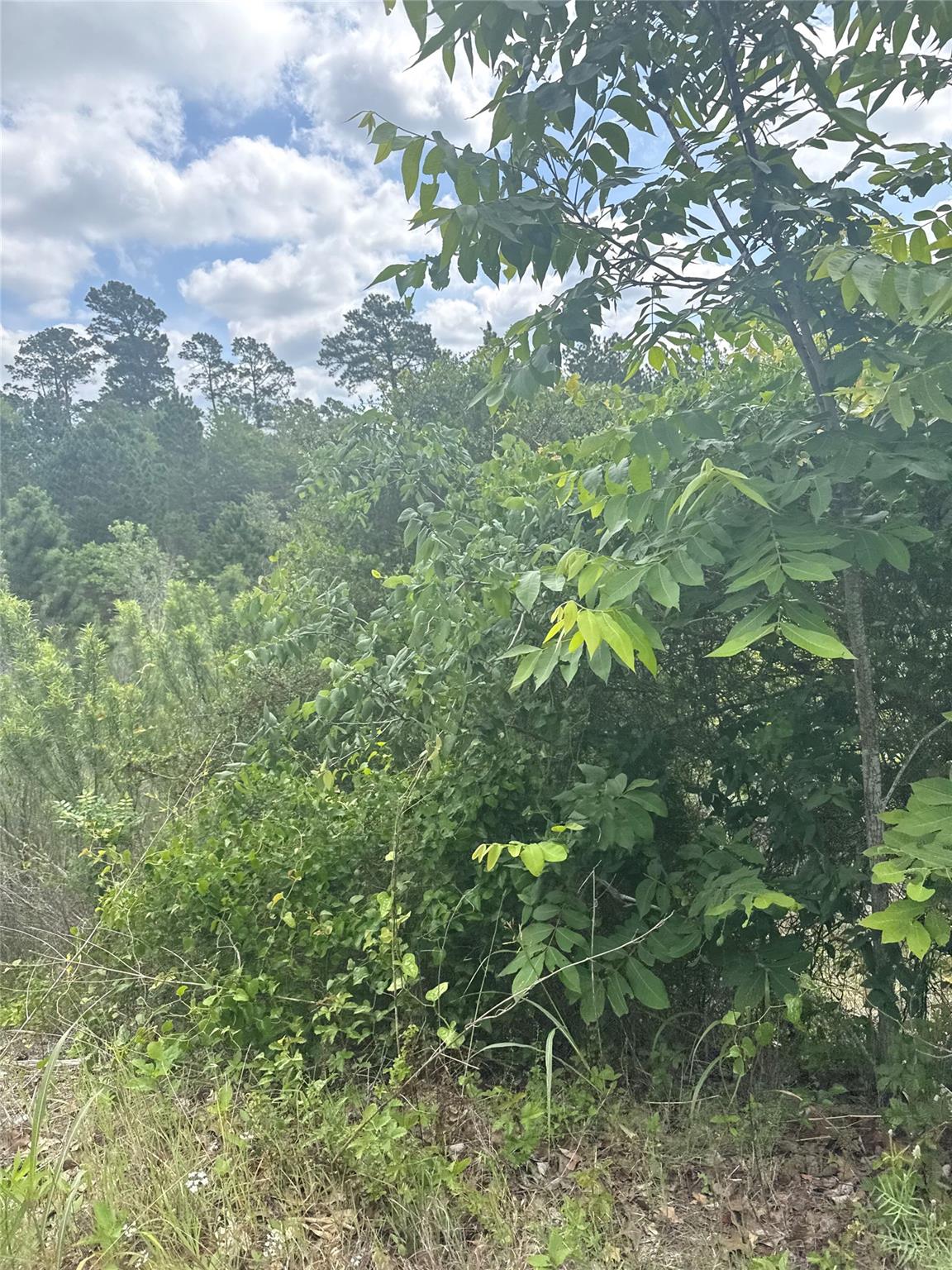 Lot 798 Tahitian DR, Bastrop, TX 78602