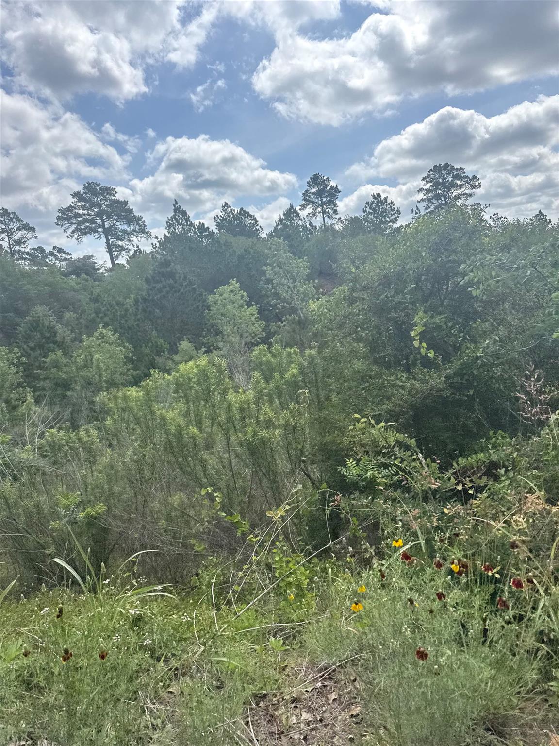 Lot 798 Tahitian DR, Bastrop, TX 78602