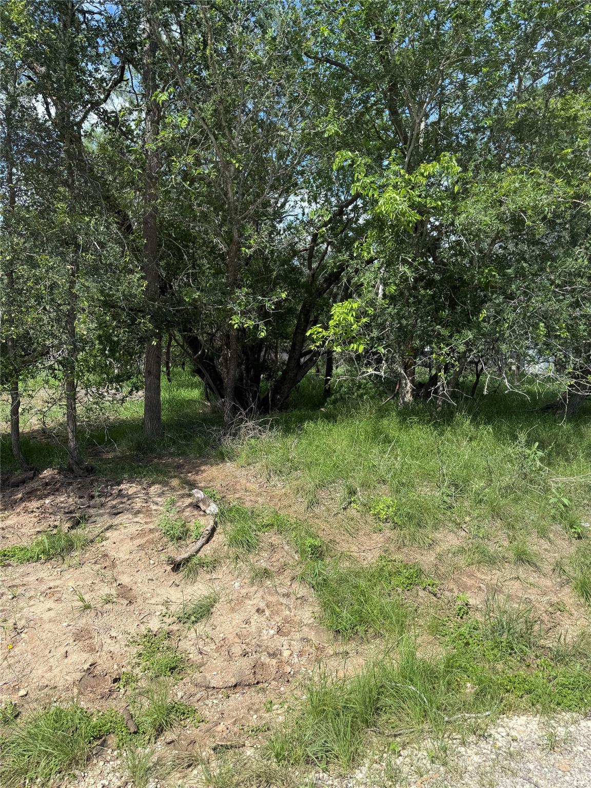 Lot 200 Nene LN, Bastrop, TX 78602
