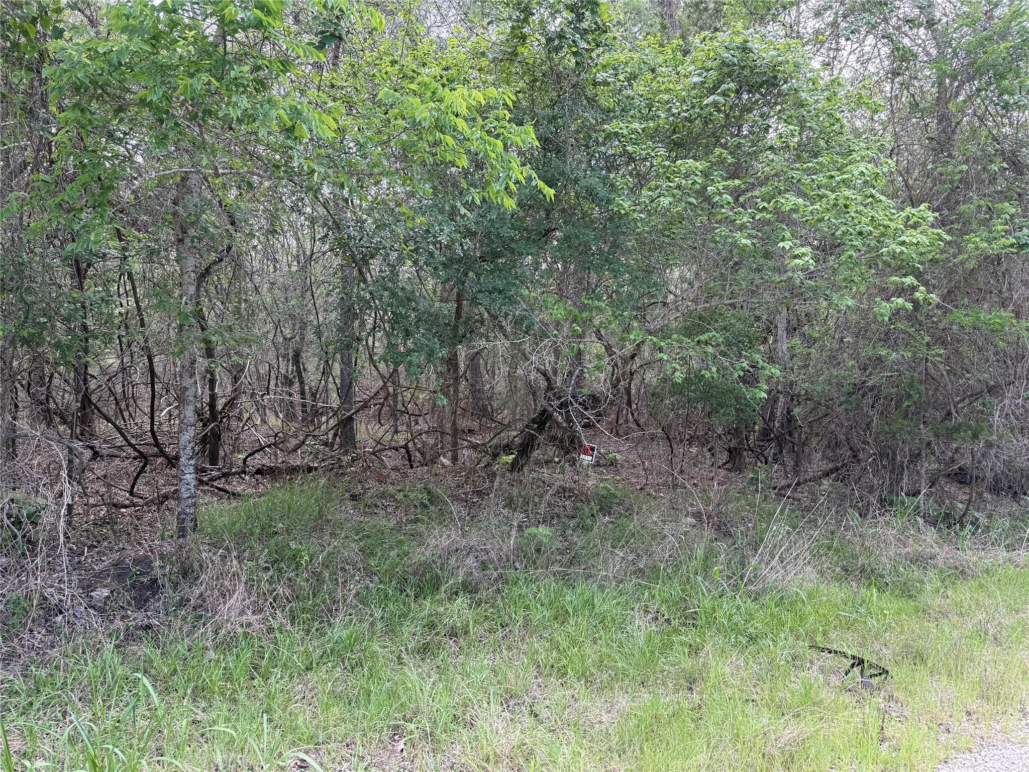 305 Nene LN, Bastrop, TX 78602