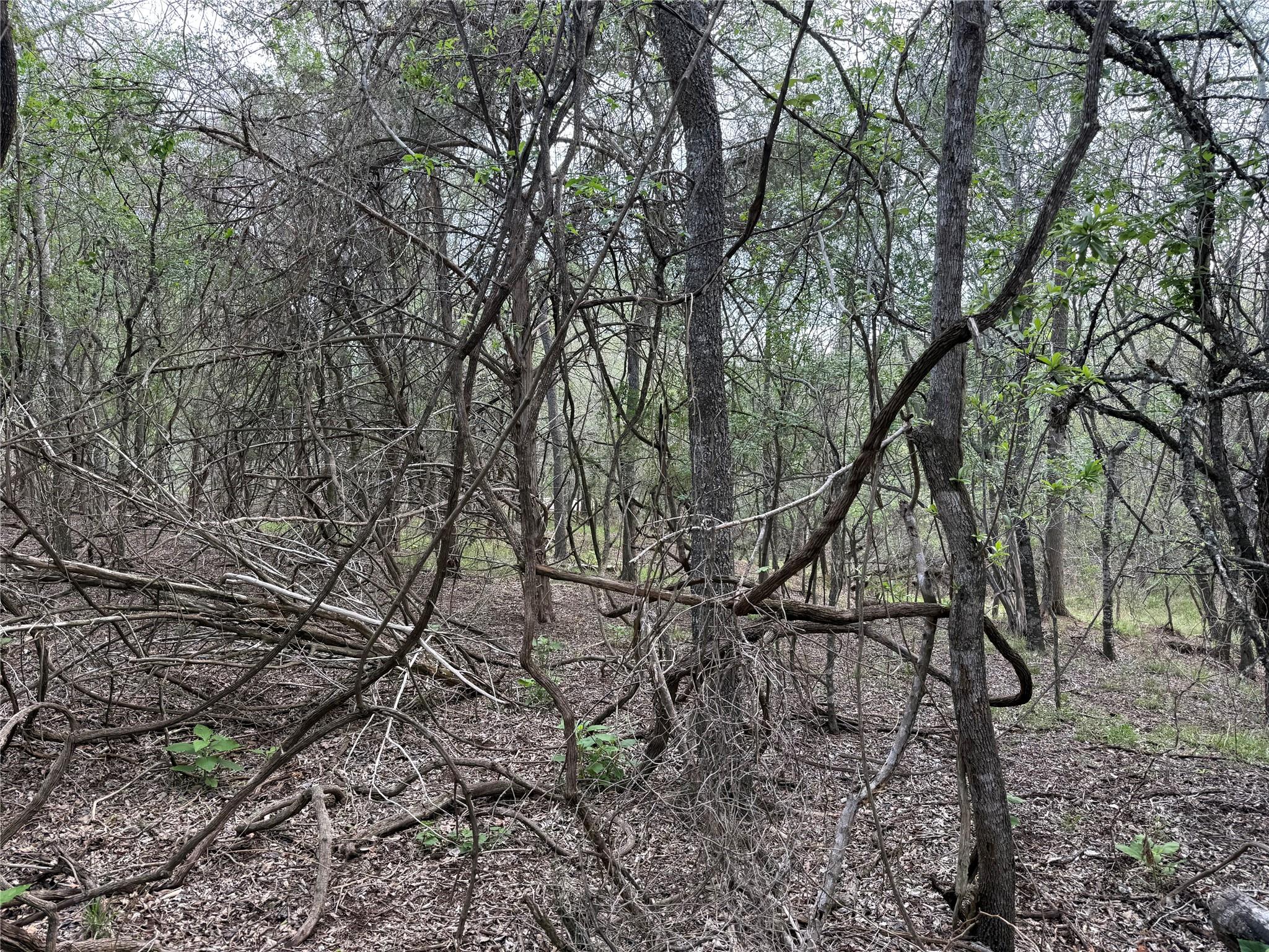 305 Nene LN, Bastrop, TX 78602