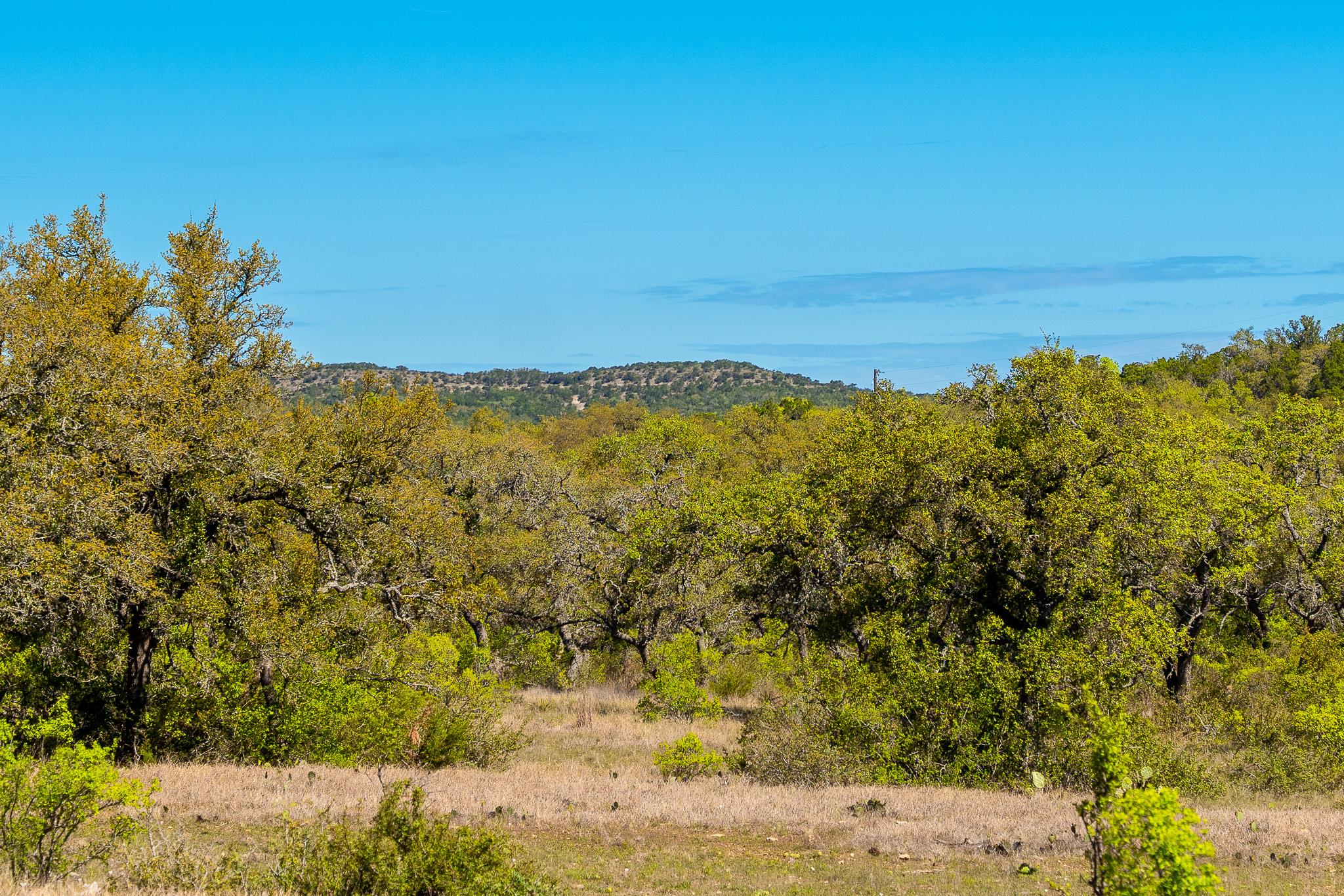 125 Acres Pump Station RD, Wimberley, TX 78676