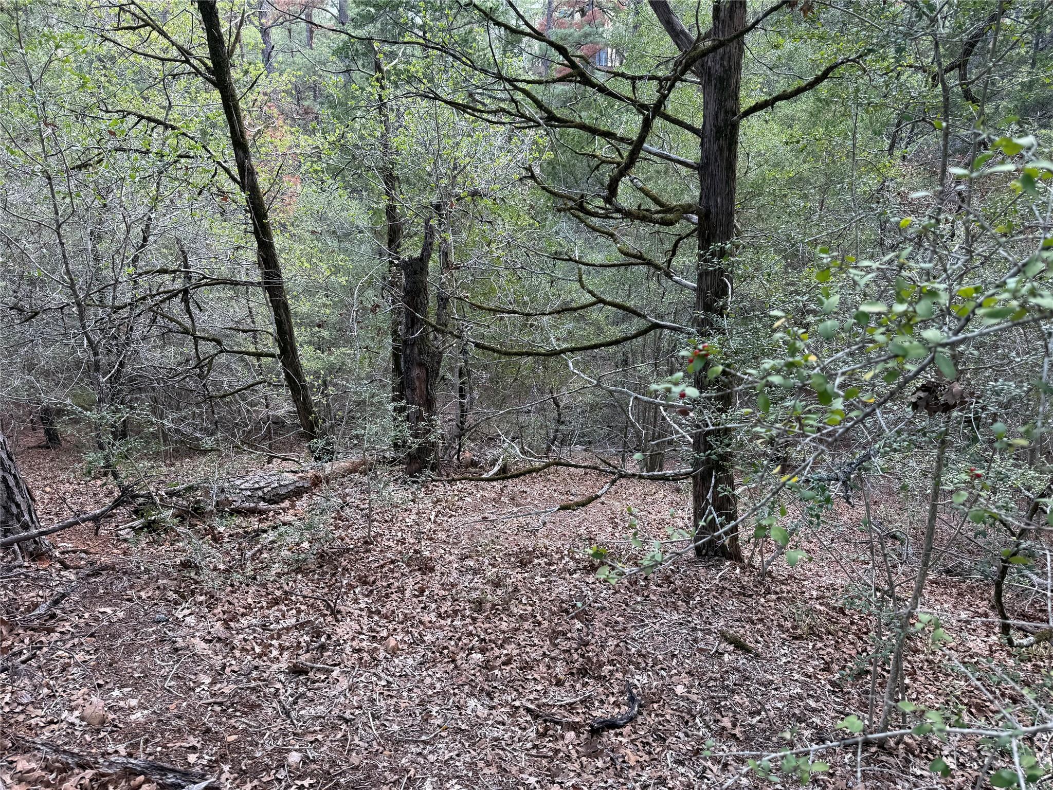 125 Lamaloa LN, Bastrop, TX 78602