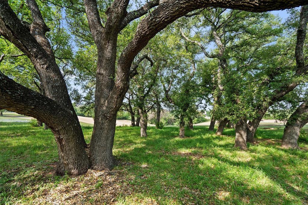 27132 Founders PL, Spicewood, TX 78669