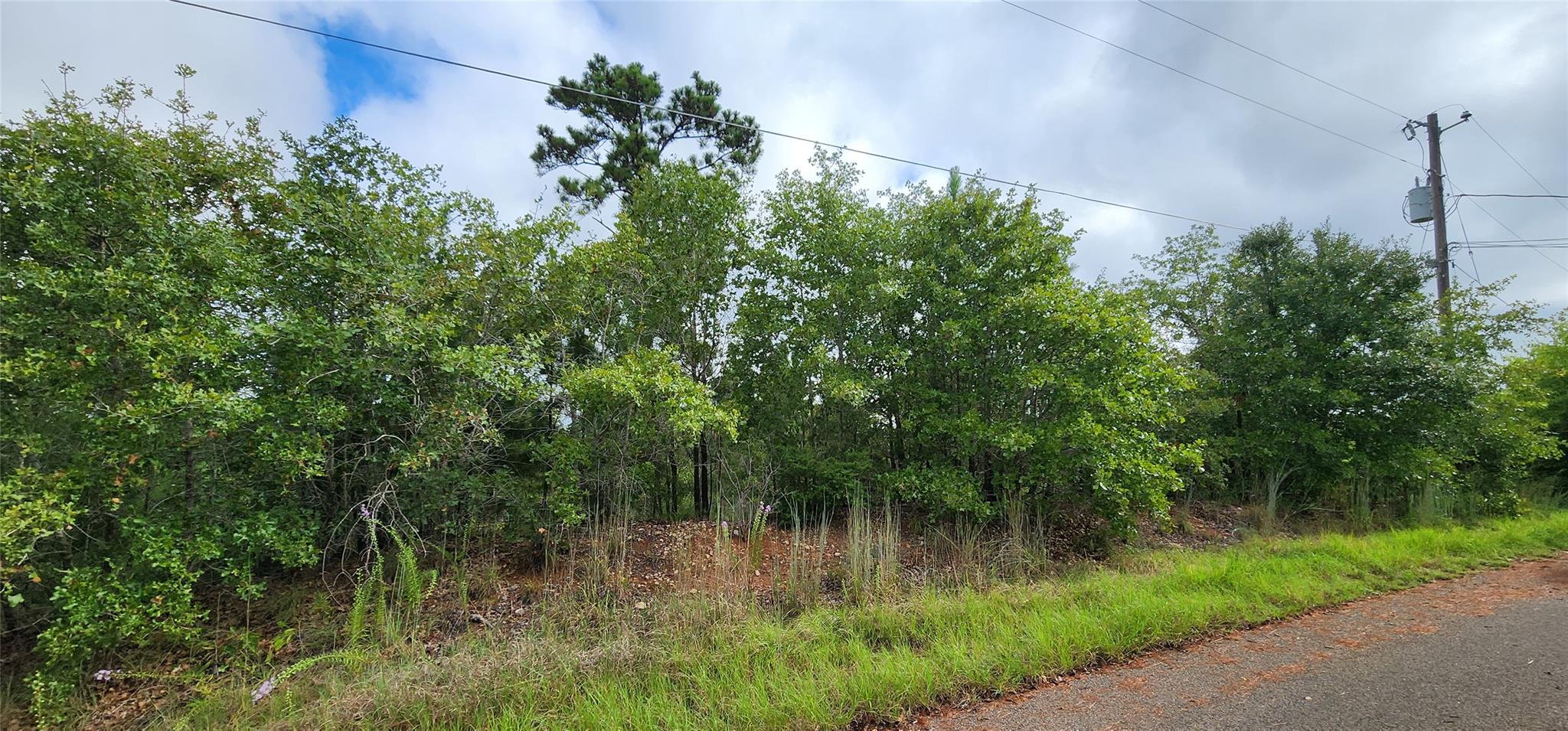 TBD Homonu CT Lot 105, Bastrop, TX 78602