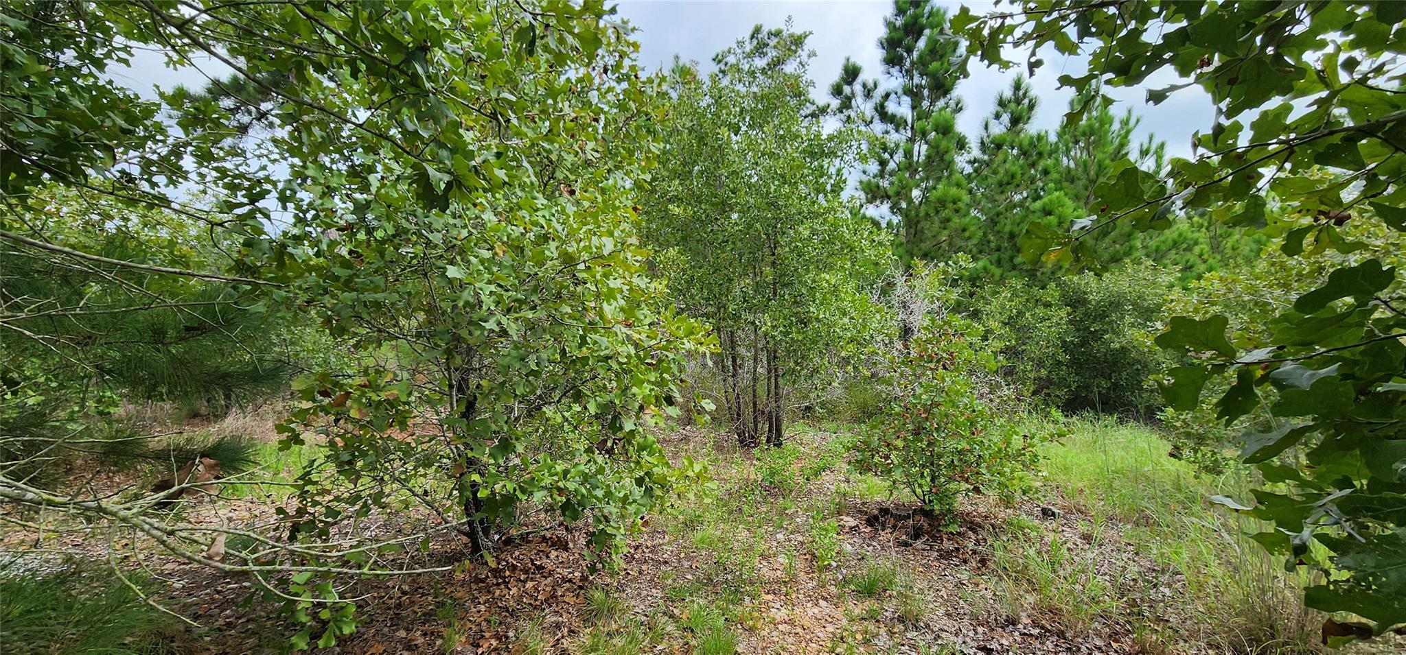 TBD Makaha DR, Bastrop, TX 78602