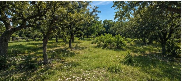 790 905 PR, Liberty Hill, TX 78642