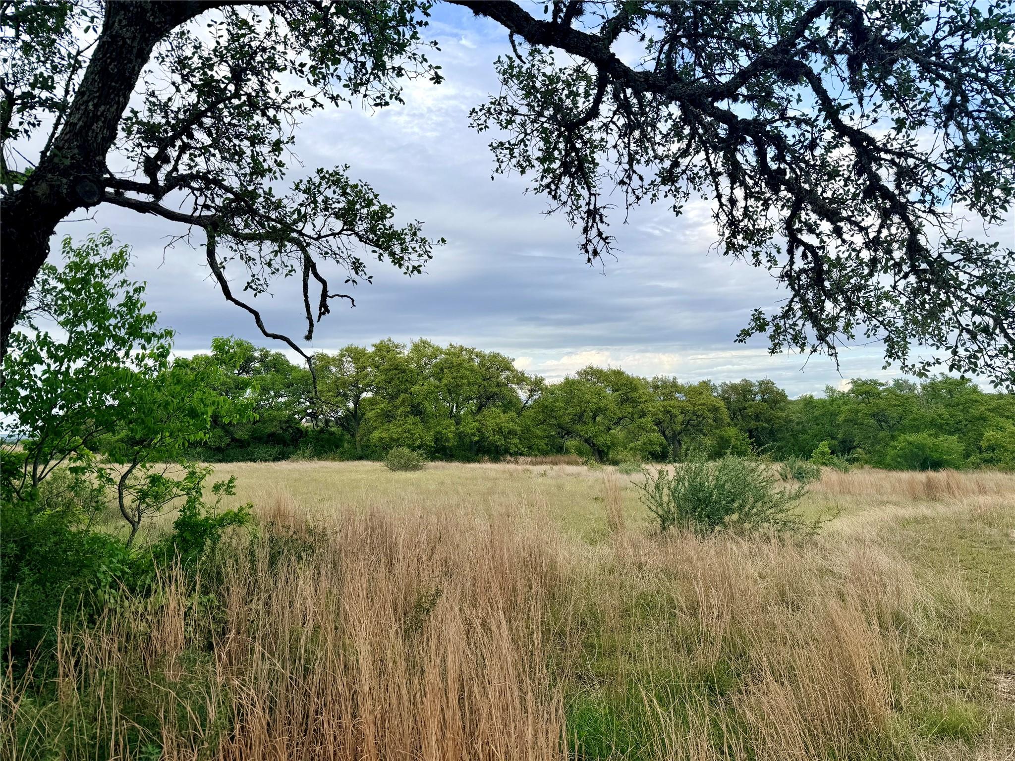 768 N Walnut Springs RD, Johnson City, TX 78636
