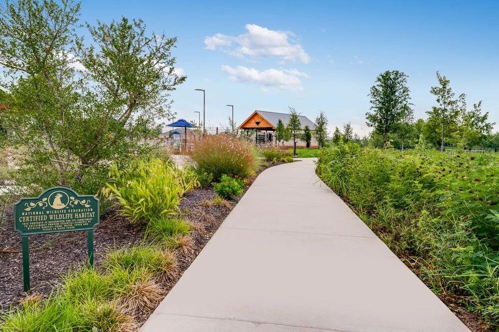 1205 Purple Martin DR, Pflugerville, TX 78660