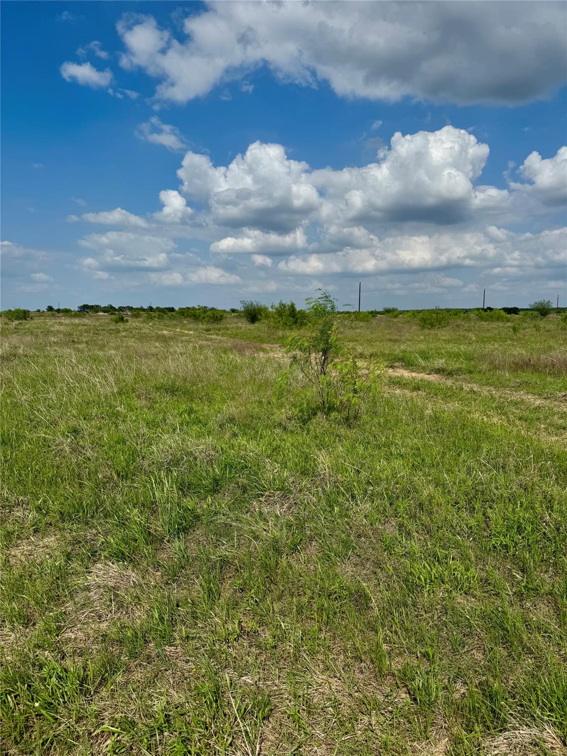 311 Cr 473, Thrall, TX 76578