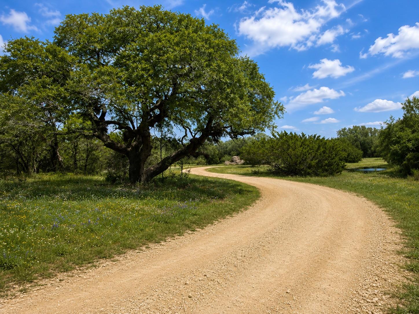 000 Cr 206, Lampasas, TX 76550