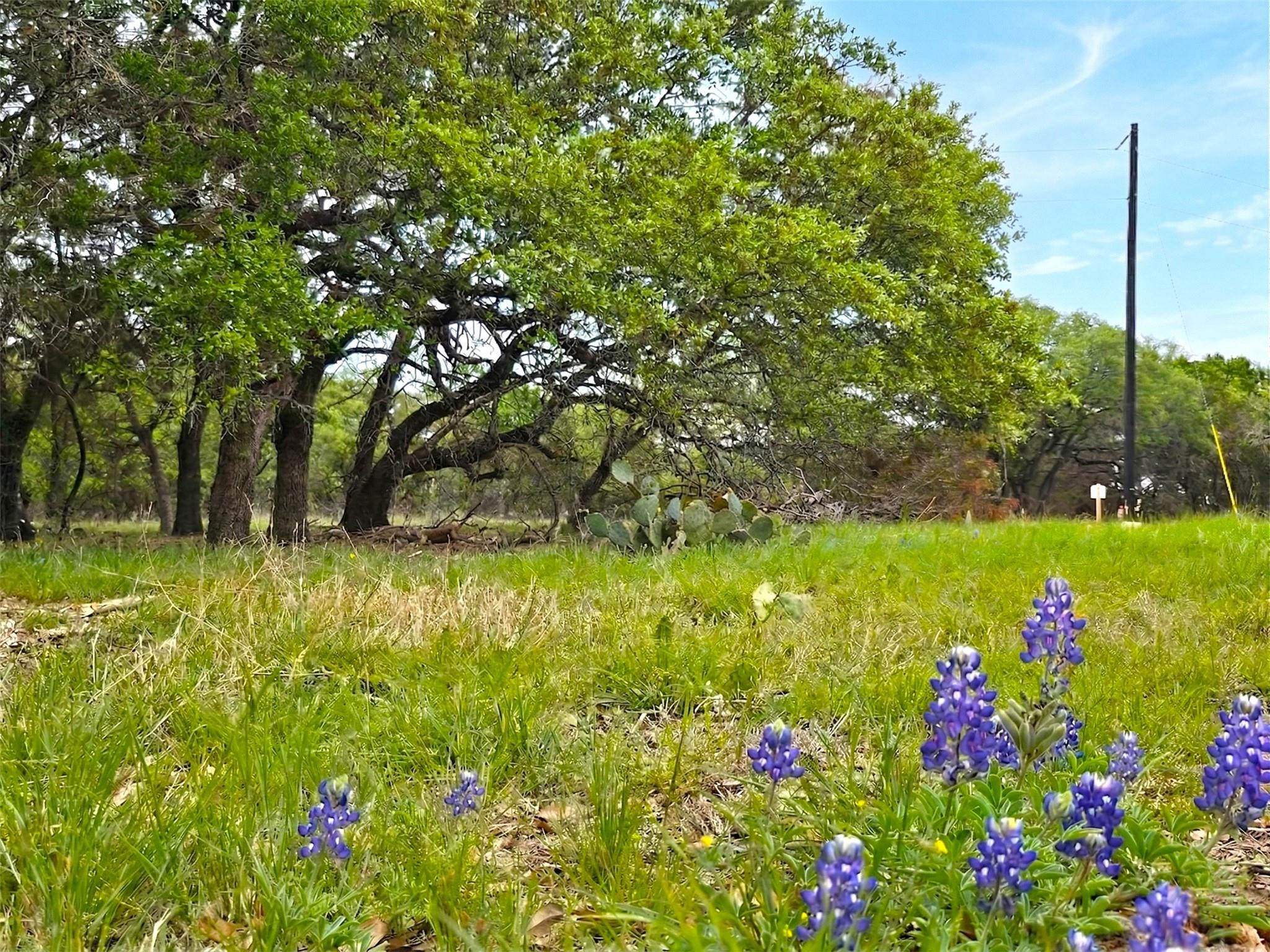 000 Cr 206, Lampasas, TX 76550