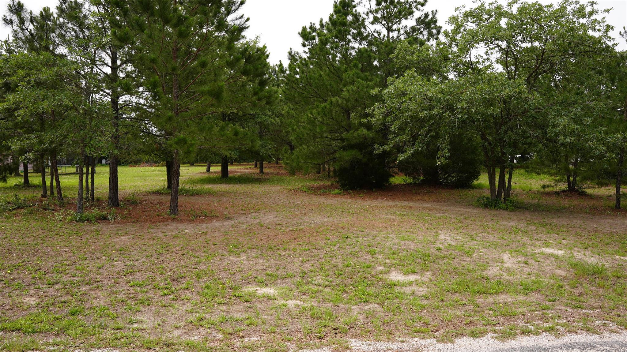 TBD Buckhorn DR, Bastrop, TX 78602