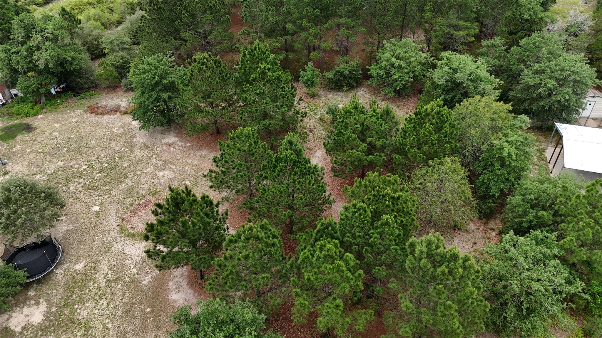 TBD Buckhorn DR, Bastrop, TX 78602