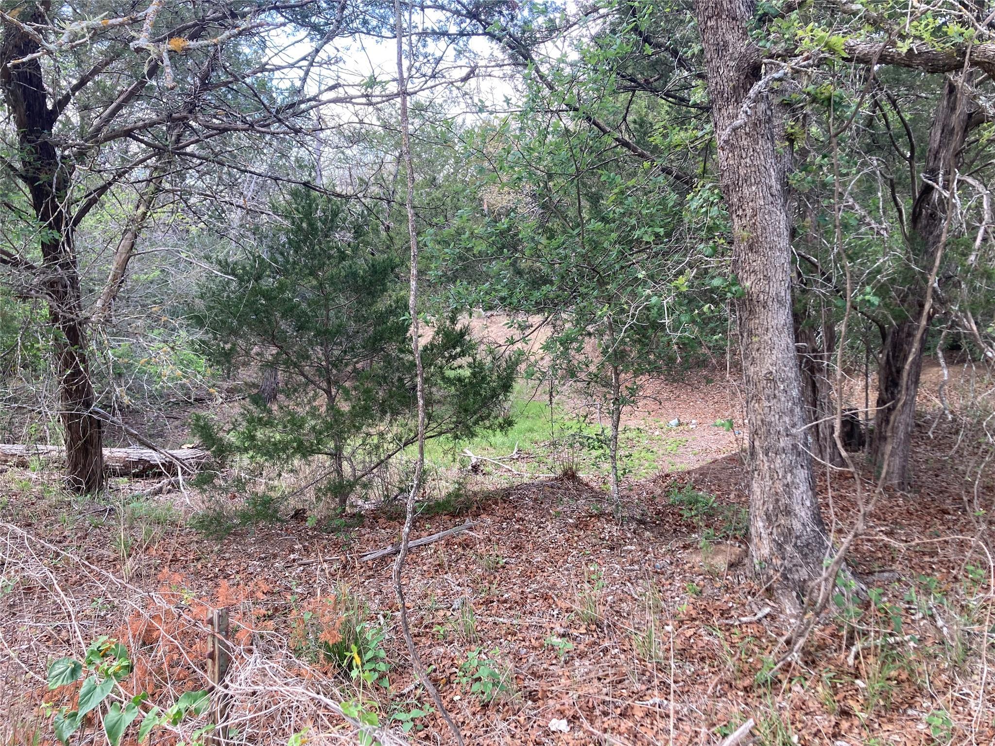 314 Green Oaks DR Lot 14-C, Bastrop, TX 78602