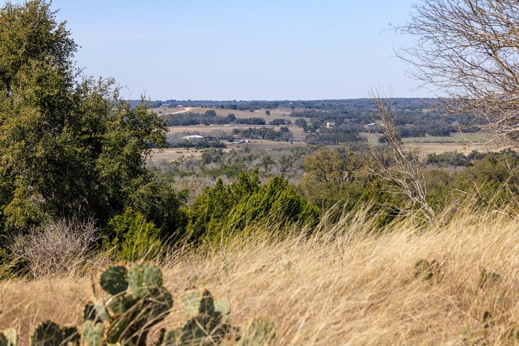 203 Rheingold School RD, Fredericksburg, TX 78624