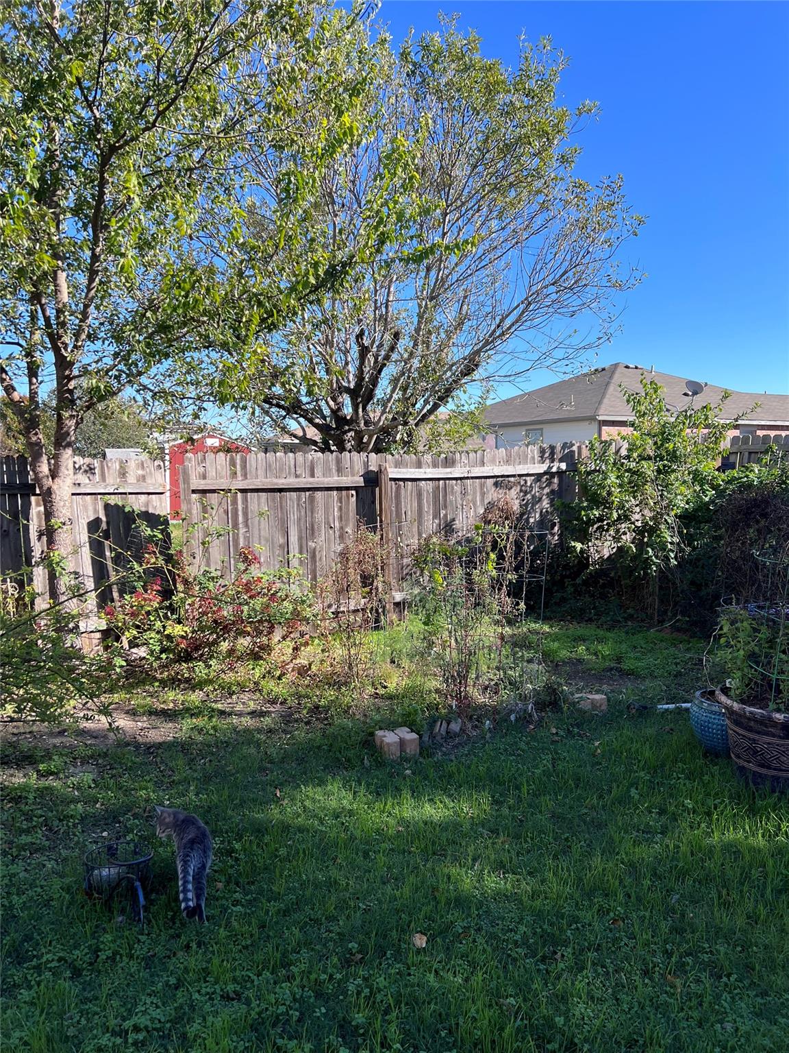 2406 Love RD, Killeen, TX 76542