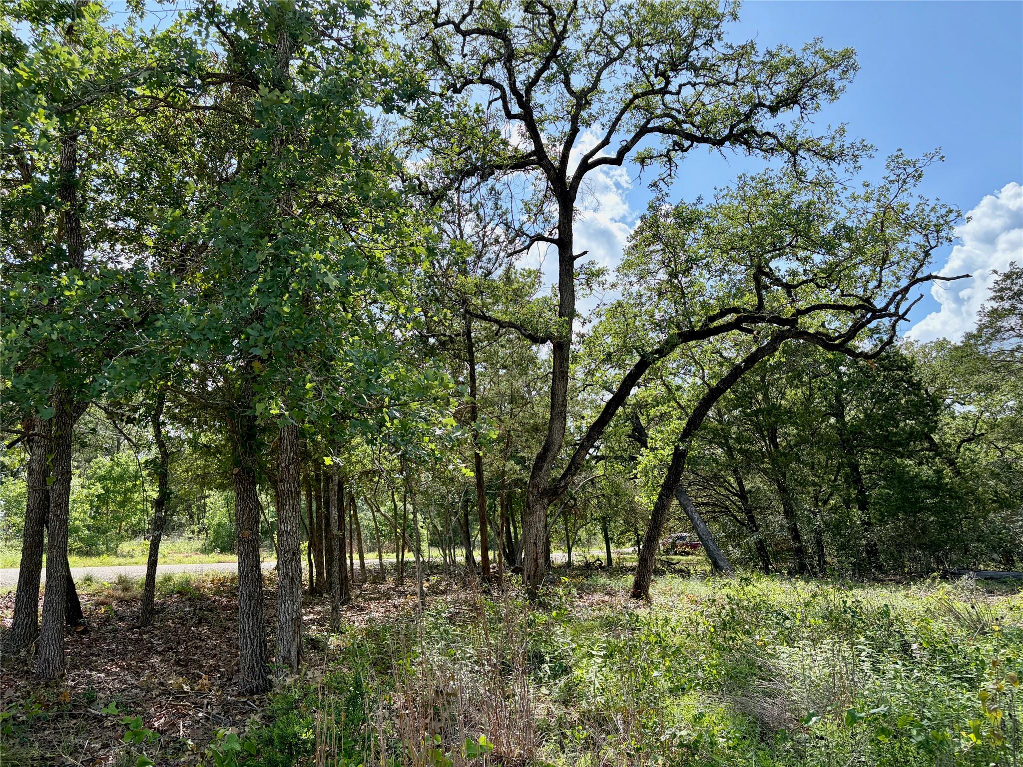 Lots-9596 Shawnee DR, Smithville, TX 78957