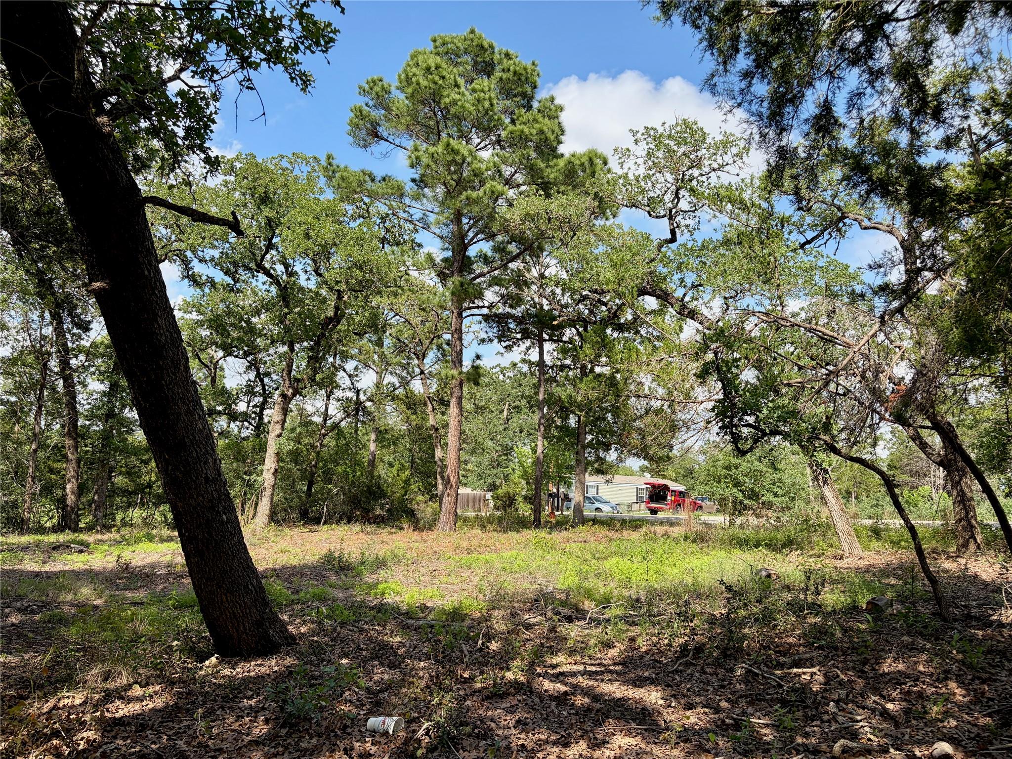 Lots-9596 Shawnee DR, Smithville, TX 78957