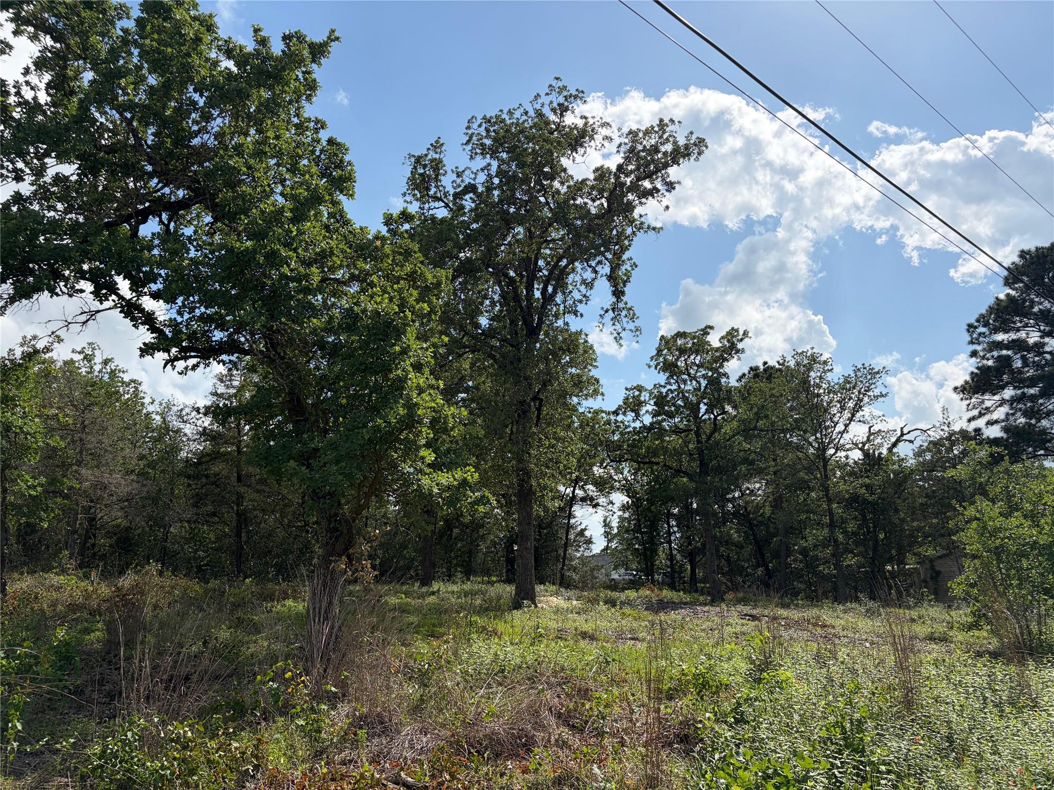 Lots-9798 Shawnee DR, Smithville, TX 78957