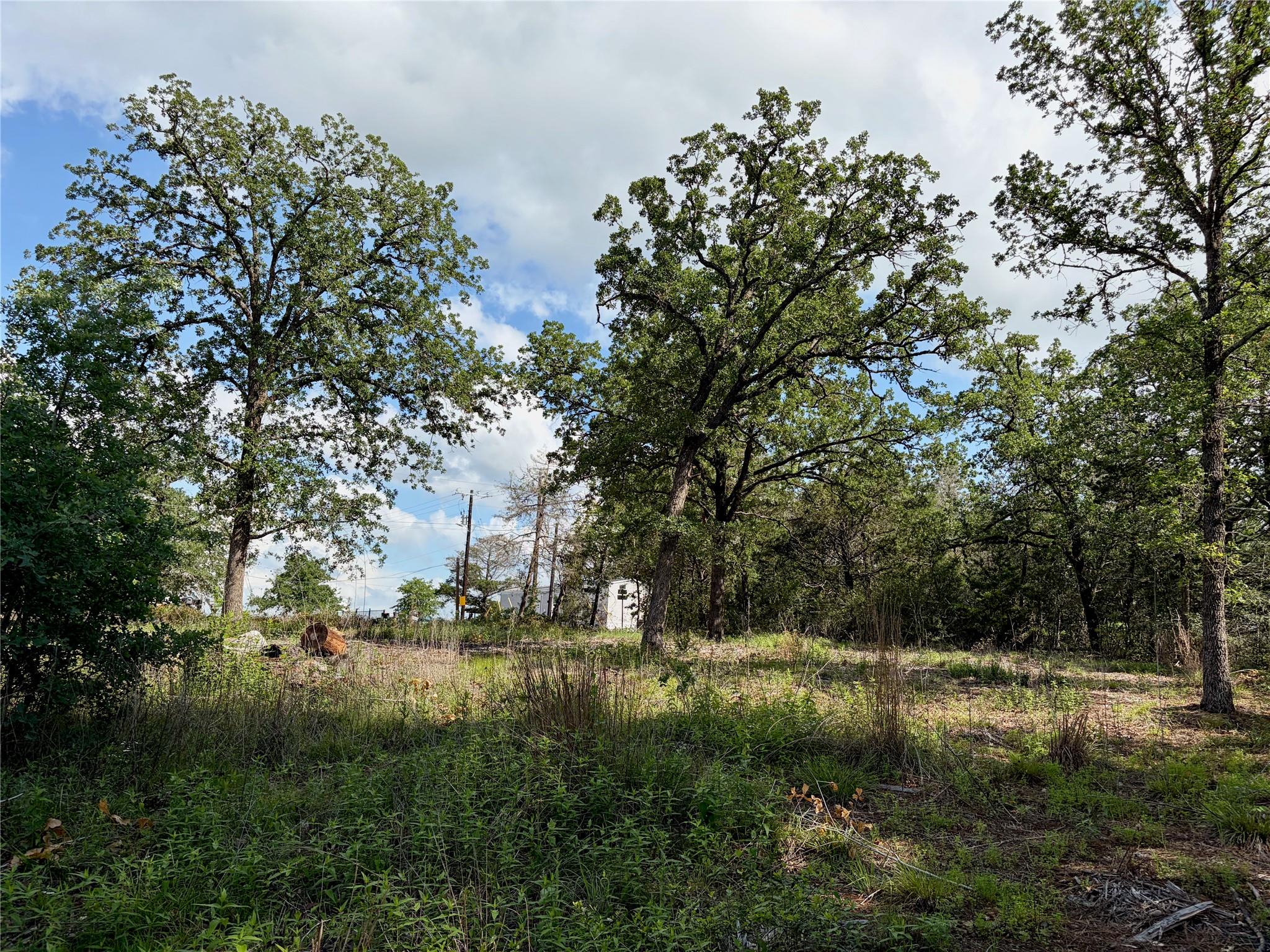 Lots-9798 Shawnee DR, Smithville, TX 78957