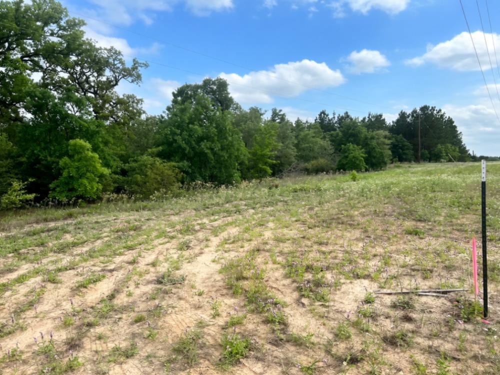 000 Ponderosa Loop, Paige, TX 78602