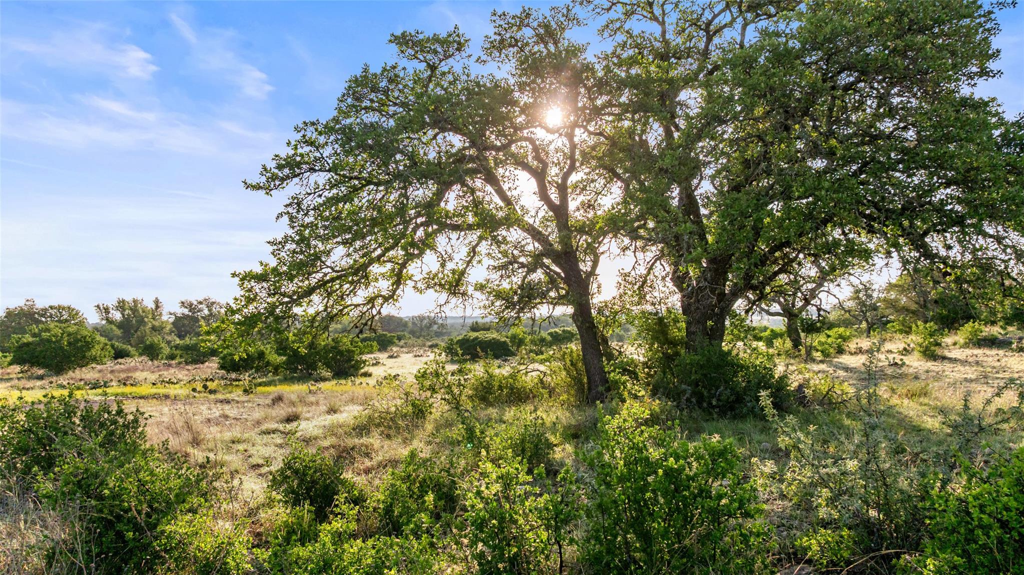 Lot 3 - 4 Vista Ridge DR, Round Mountain, TX 78663