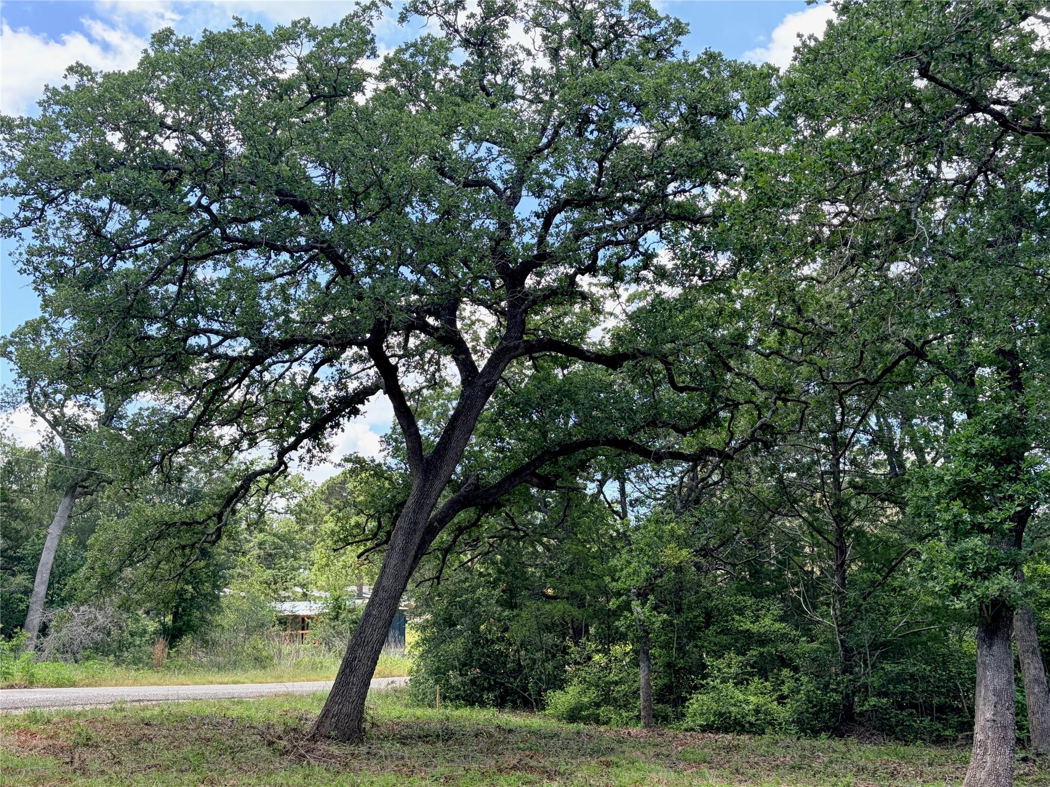 Lots-9091 Arapaho DR, Smithville, TX 78957